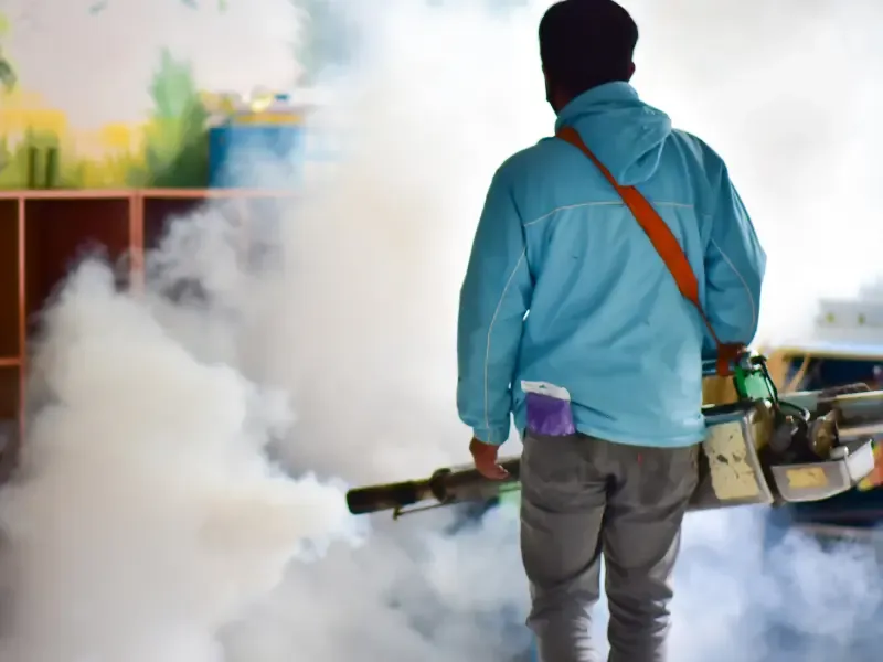 Mosquito control abu dhabi