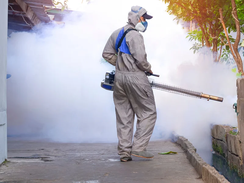 Mosquito-Fogging-vs-Larviciding