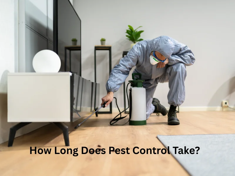 How-Long-Does-Pest-Control-Take