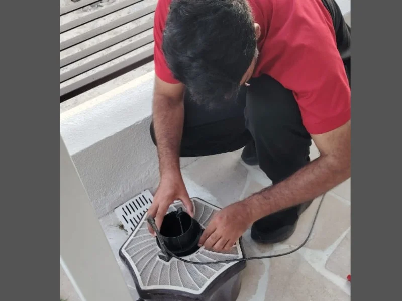 Mosquito-infestation-Abu-Dhabi