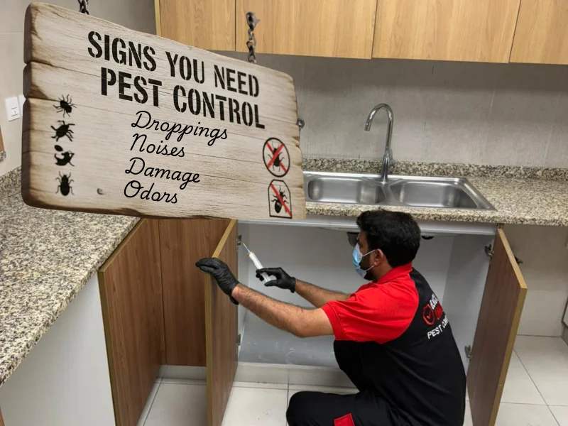 Signs-You-Need-Pest-Control-Abu-Dhabi-Immediately
