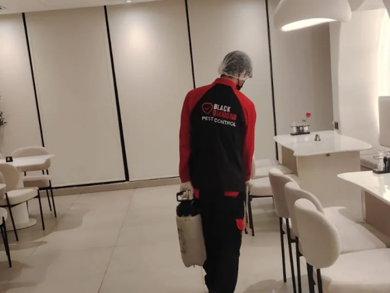 Why-Restaurants-in-Abu-Dhabi-Need-Professional-Pest-Control-Services.