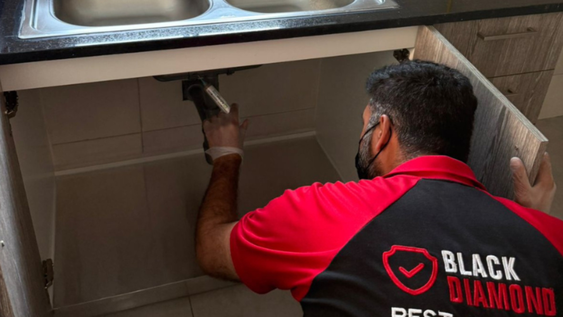Best Cockroach Treatment Abu Dhabi